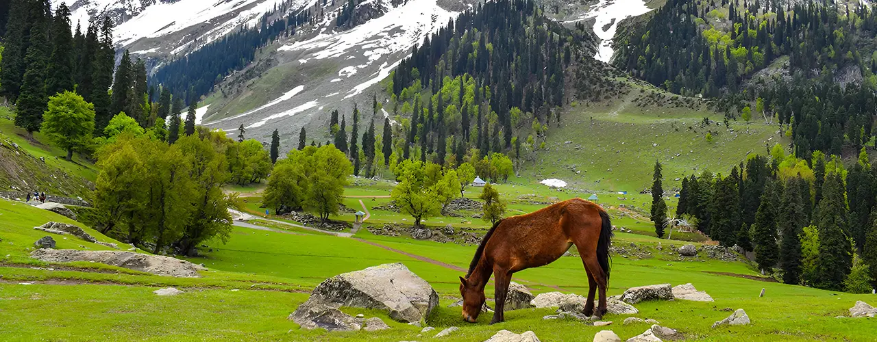 Leh Ladakh