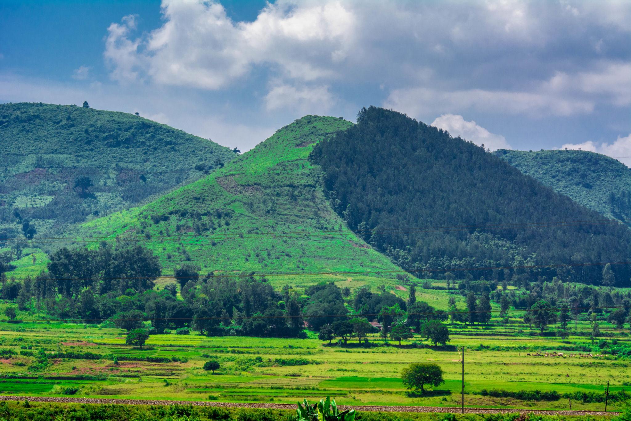Coastal Escapes: 4 Days of Vizag & Araku Wonders