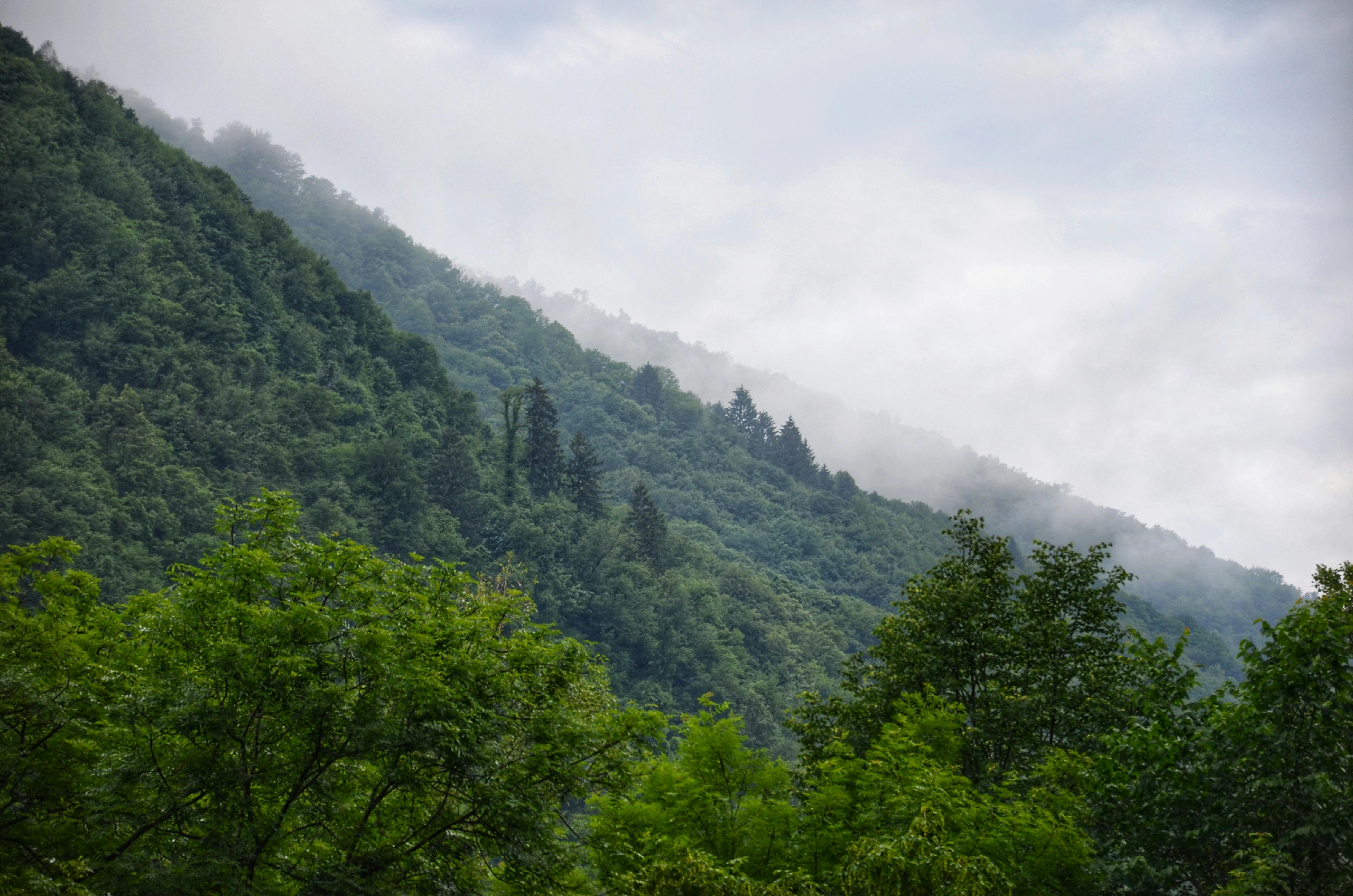 Himalayan Retreat: 6 Days in Dehradun, Mussoorie, Dhanaulti & Haridwar