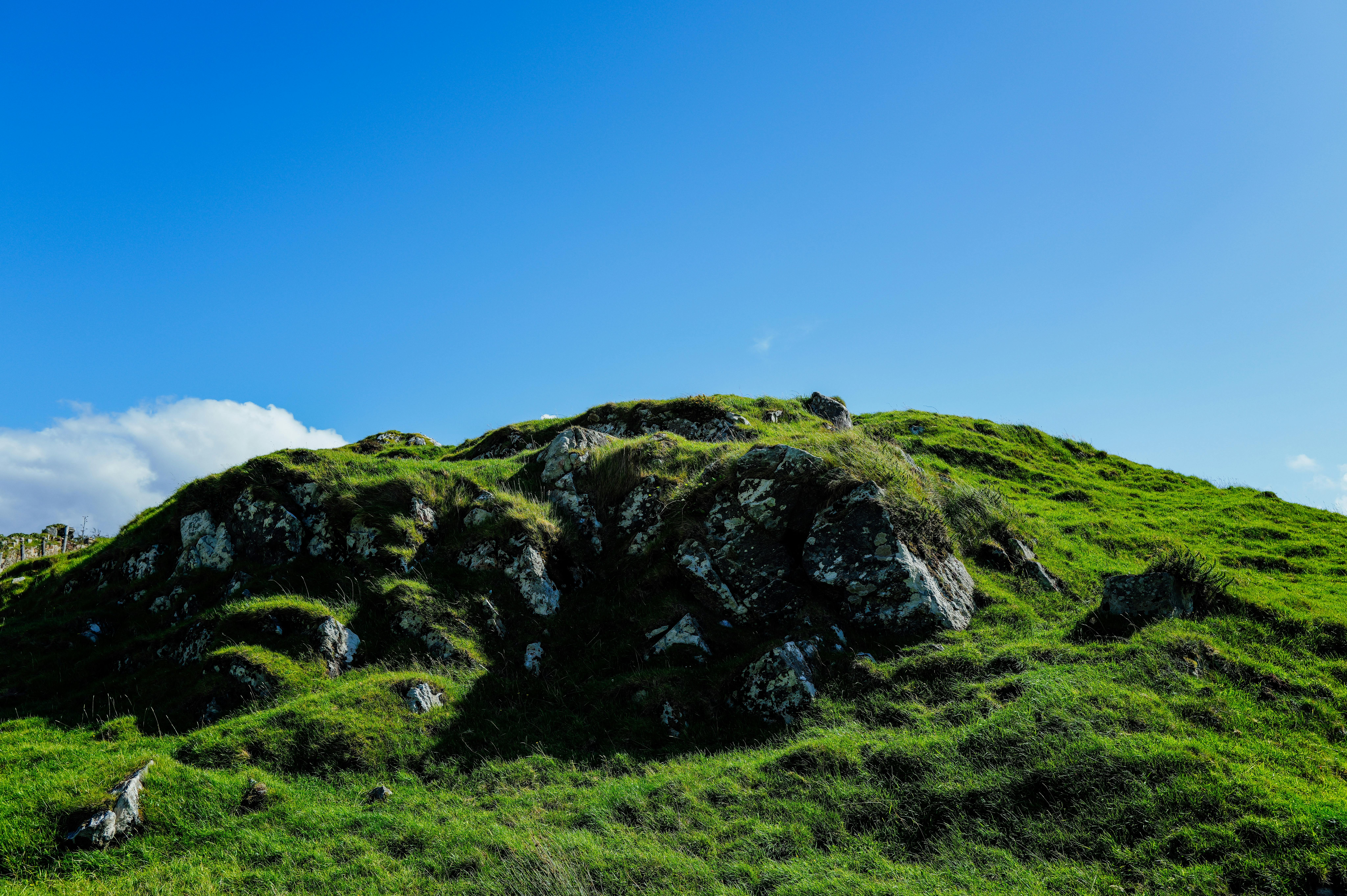 Essence of Uttarakhand: 8 Days of Spirituality, Scenic Hills & Serenity