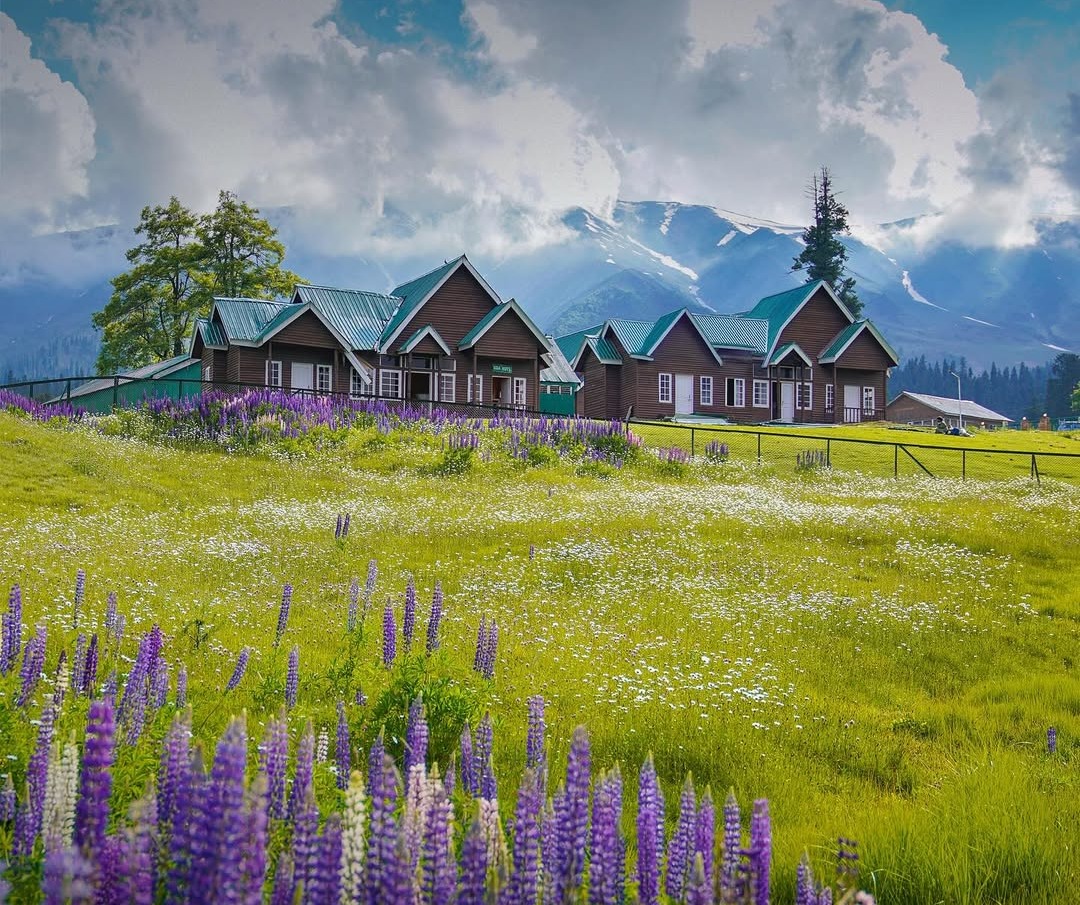 Kashmir to Katra Delight: 8 Days of Scenic Beauty & Spiritual Bliss
