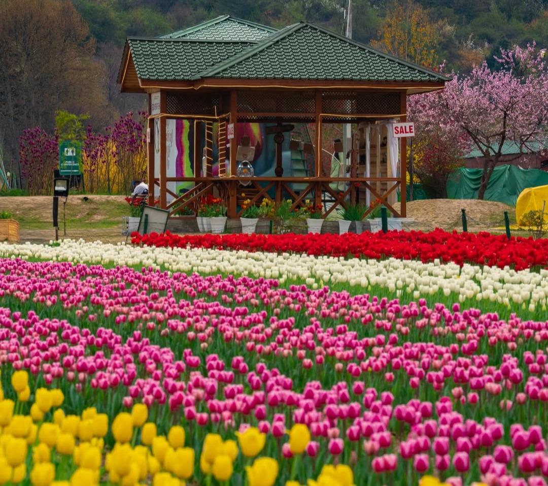 9-Day Divine North Escape: Katra to Kashmir Valley Tour