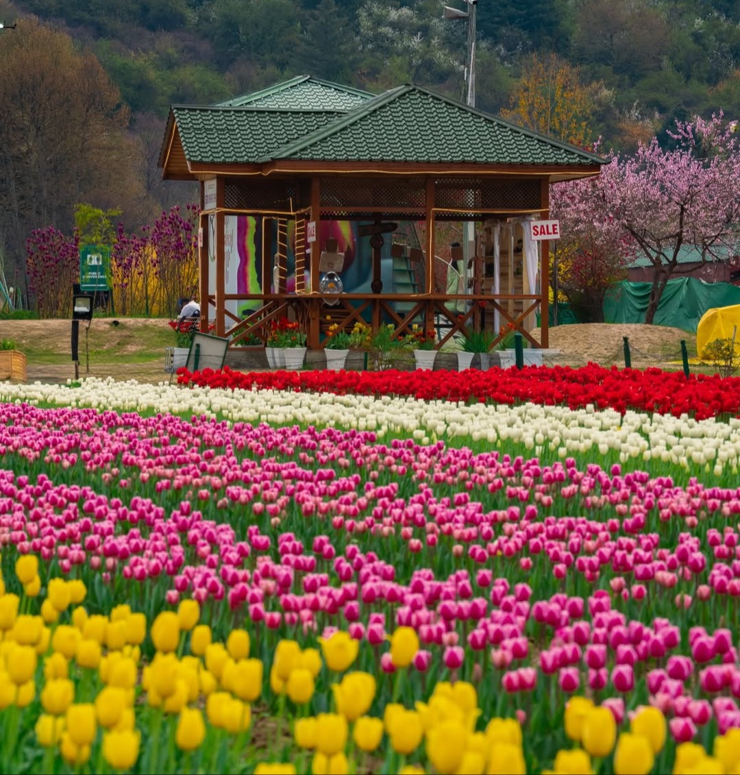 9-Day Divine North Escape: Katra to Kashmir Valley Tour